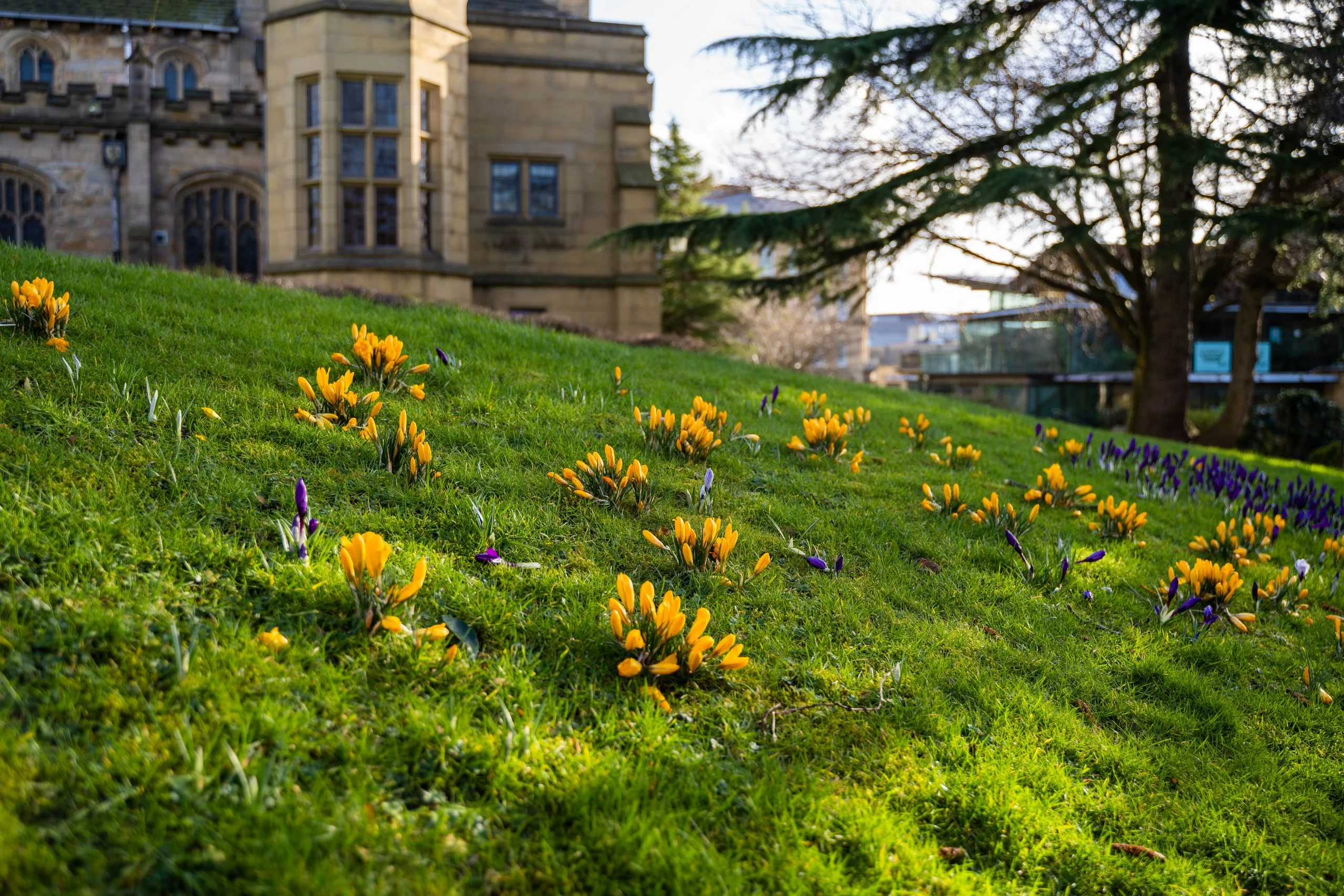 Cathedral Gardens