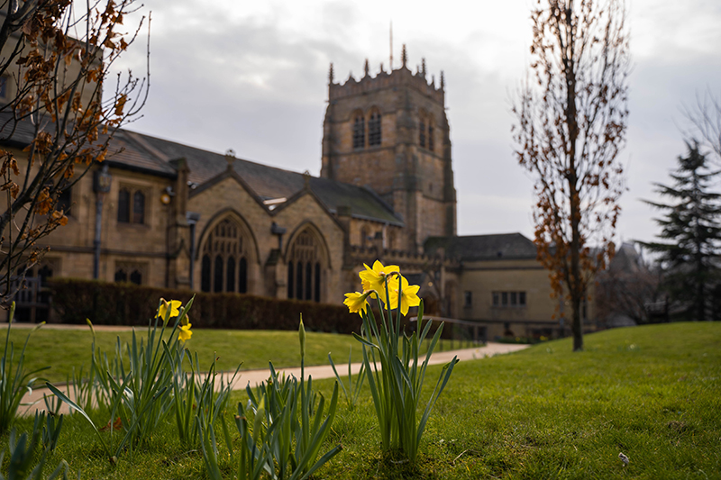Daffodils at Bradford Cathedral