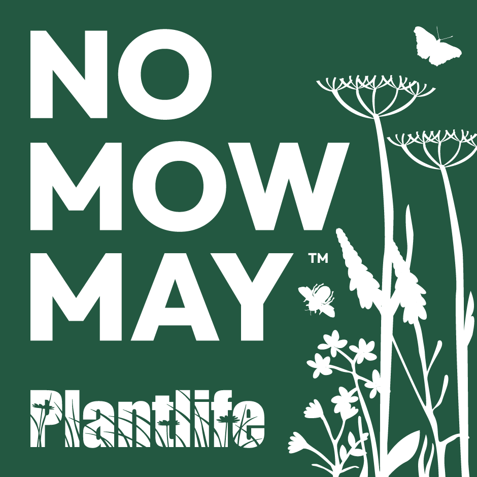 No Mow May logo