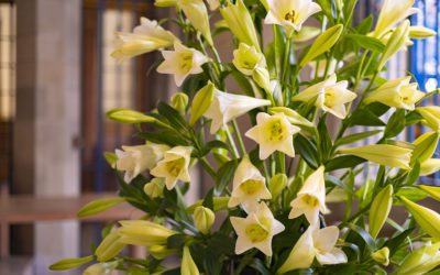 Holy Week and Easter