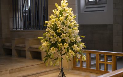 Bradford Cathedral Easter Lilies donated in memory